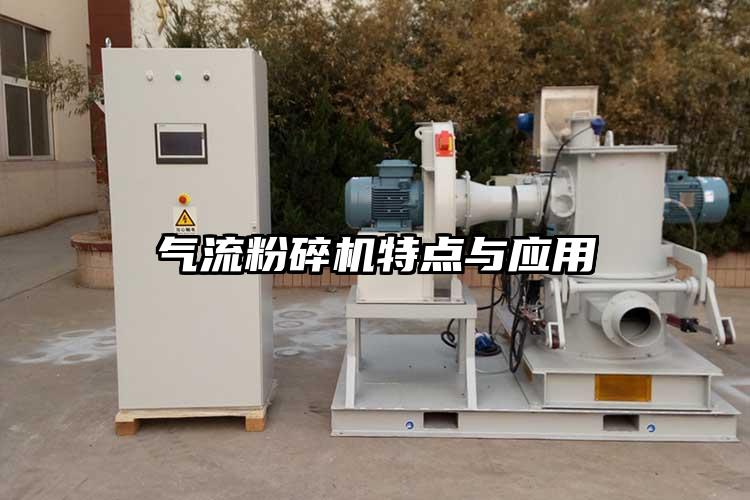 气流草莓视频APP官网在线观看特点与应用