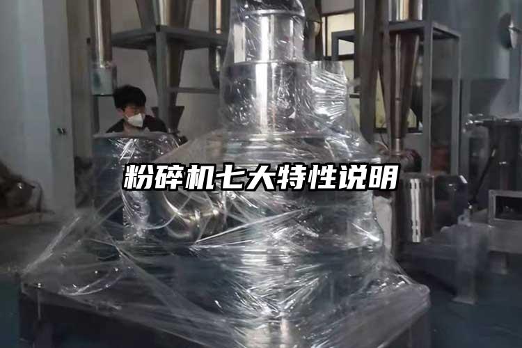 草莓视频APP官网在线观看七大特性说明