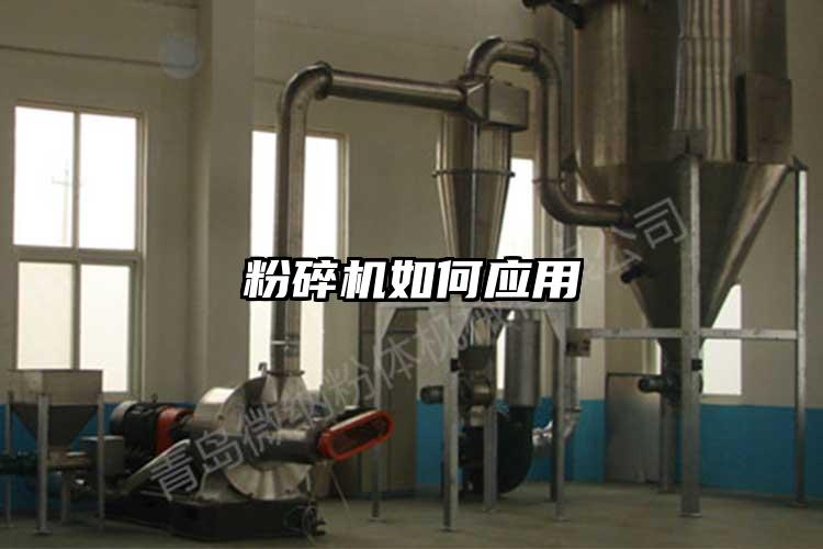 草莓视频APP官网在线观看如何应用