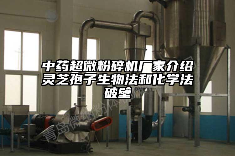 中药超微草莓视频APP官网在线观看厂家介绍灵芝孢子生物法和化学法破壁