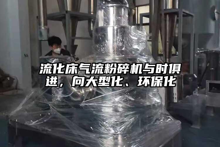 流化床气流草莓视频APP官网在线观看与时俱进，向大型化、环保化